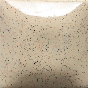 SP254 -Speckled Vanilla Dip