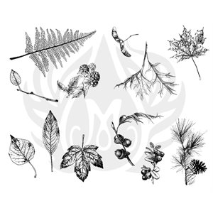 DSS-111 Botanical-Leaves