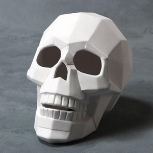 Faceted Skull 