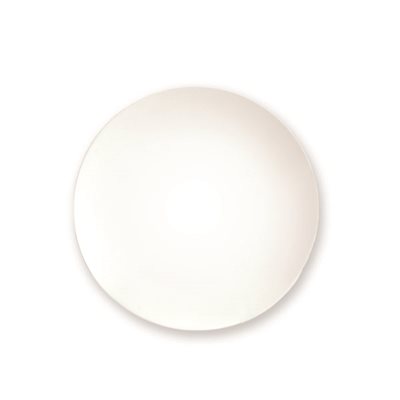 Bisque for Benefits 8" Coupe Plate 