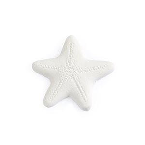 Starfish Bisquie 